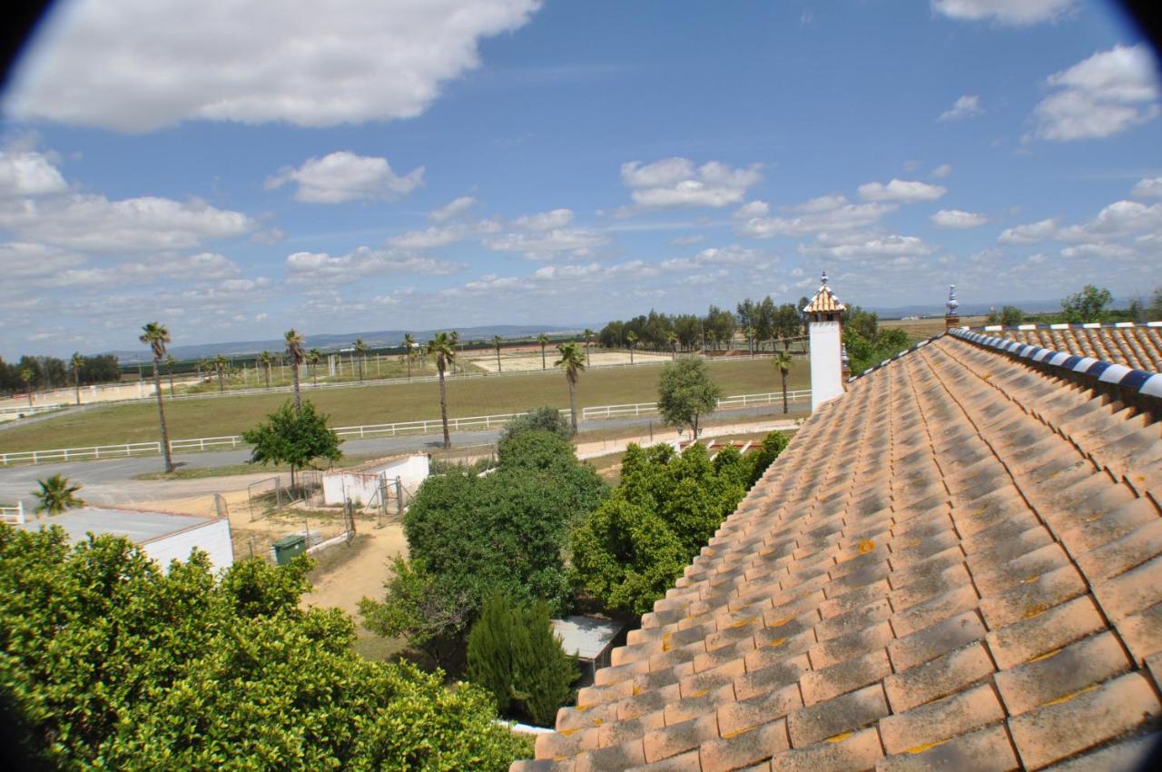 Cortijo La Amazona Villa เซบีญา ภายนอก รูปภาพ