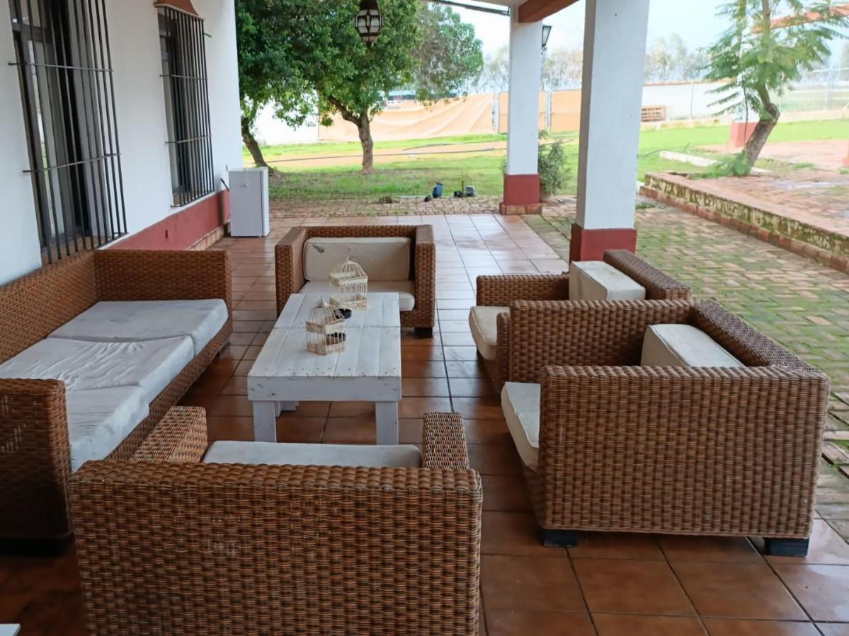 Cortijo La Amazona Villa เซบีญา ภายนอก รูปภาพ